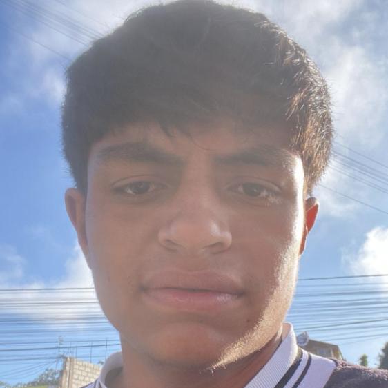 User Image